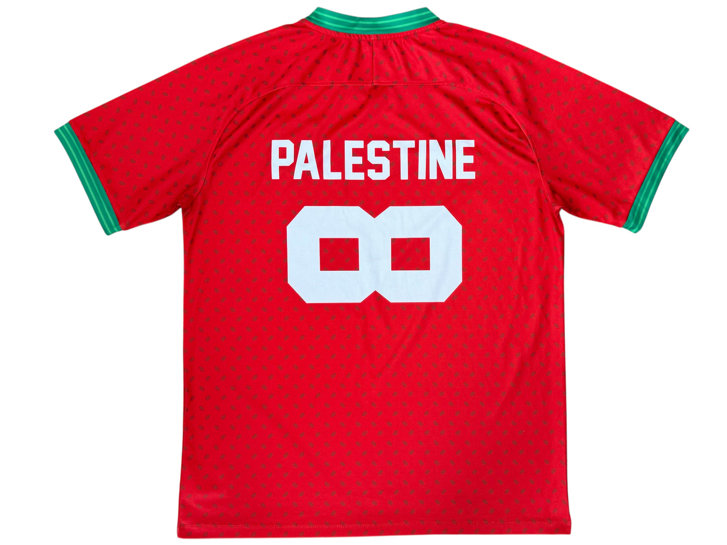 FC Palestina X Thabet